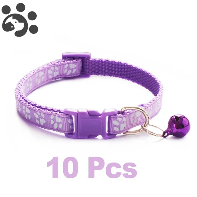 Bell Delicate Safety Casual Nylon Dog Collar