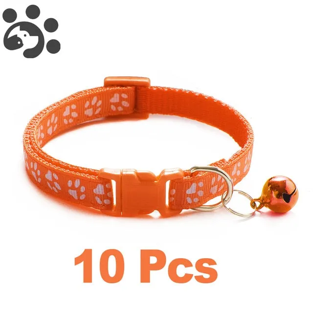 Bell Delicate Safety Casual Nylon Dog Collar