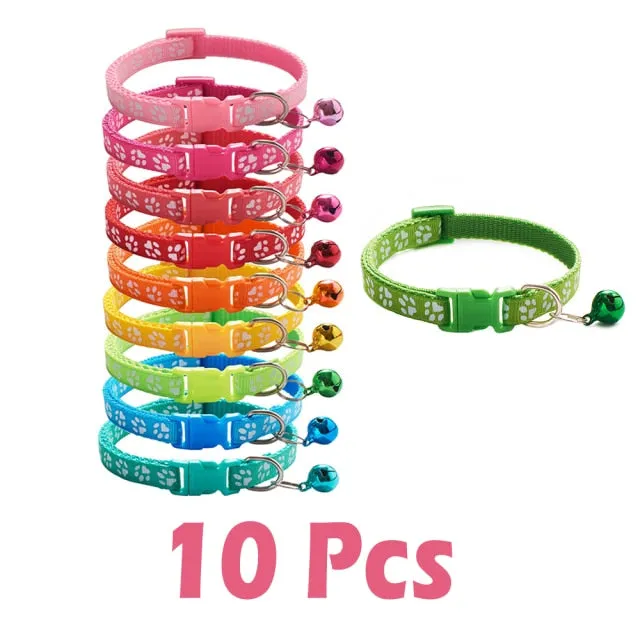 Bell Delicate Safety Casual Nylon Dog Collar