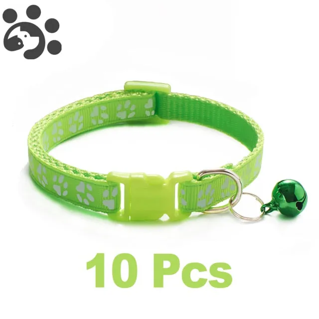 Bell Delicate Safety Casual Nylon Dog Collar