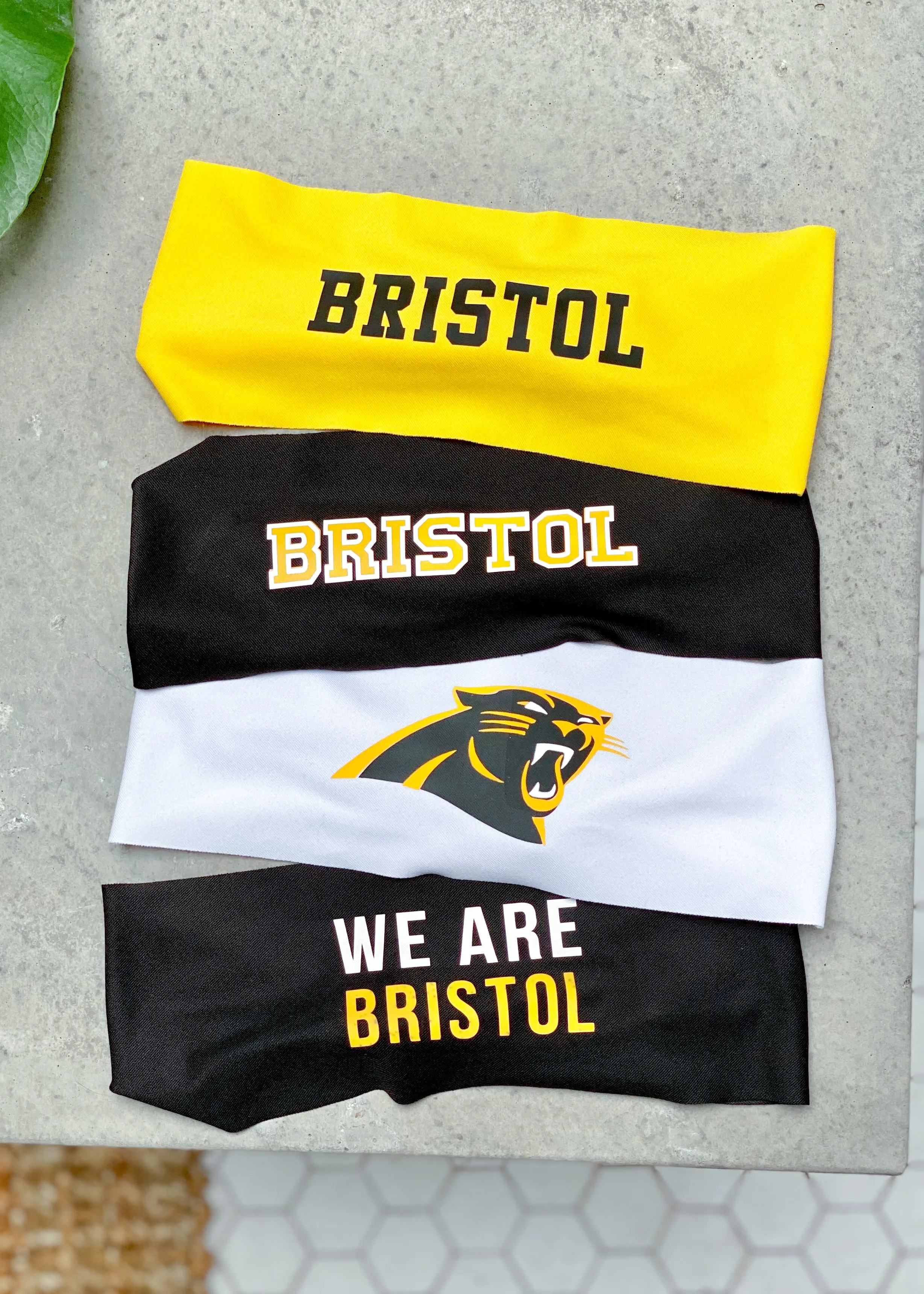 Bristol Panthers