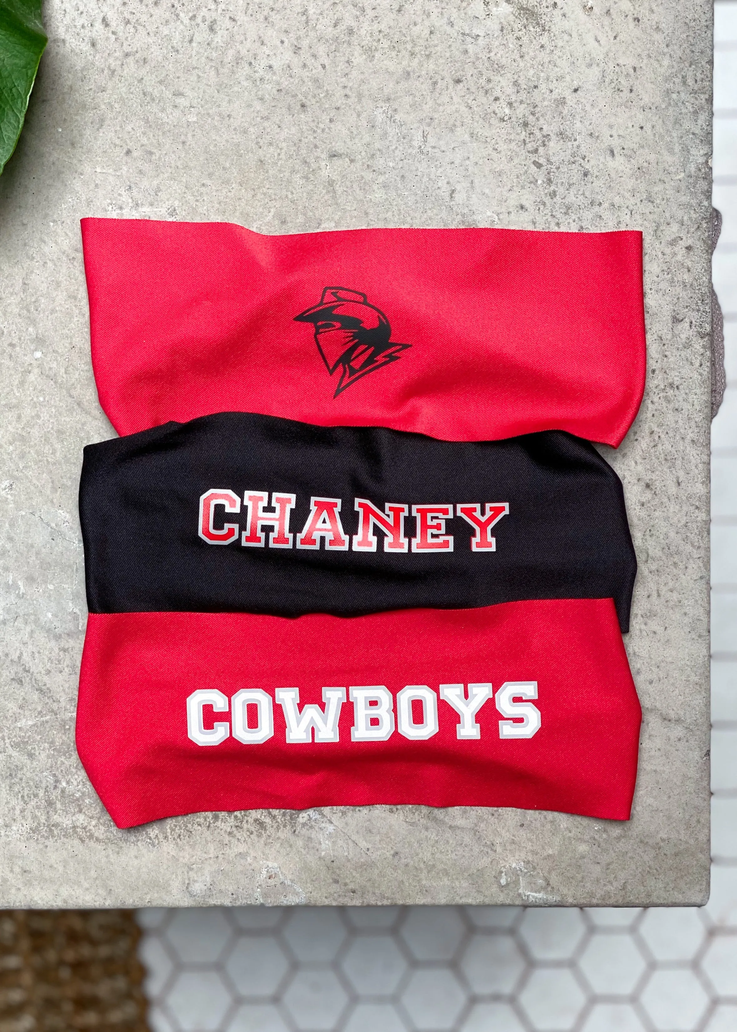 Chaney Cowboys