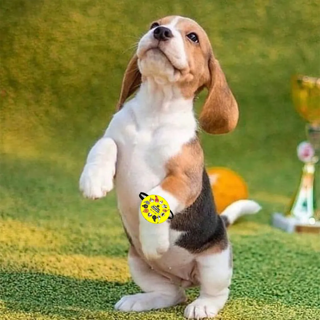 Family's Favourite Pet Rakhi