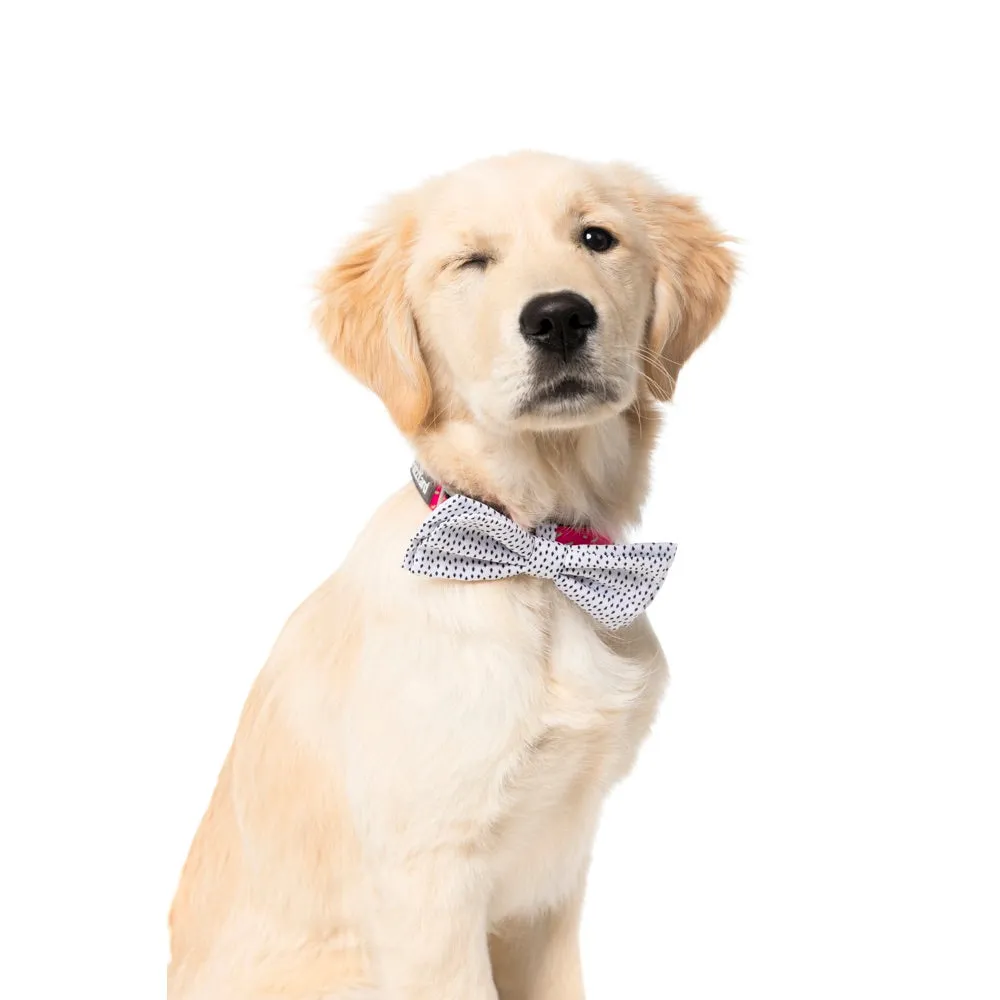 FuzzYard Pet Bow Tie (Bow & Arrow)