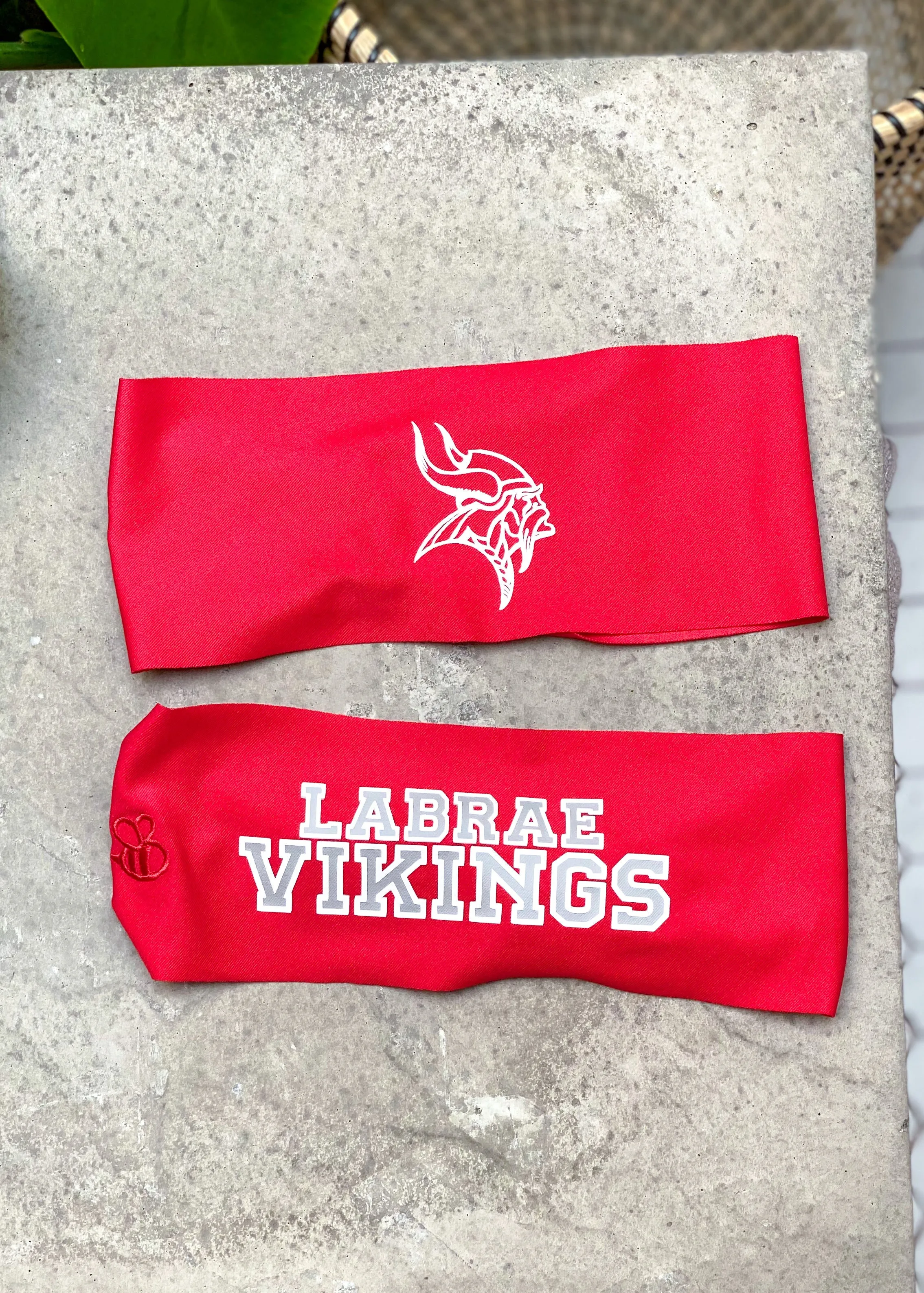 Labrae Vikings