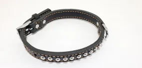 Leather Dog Collar with Single Line of Silver Chrome Buttons - Black - Medium