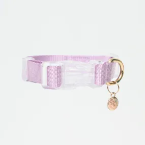 Ollie Walkies: Aero Paw - Amethyst (Collar)