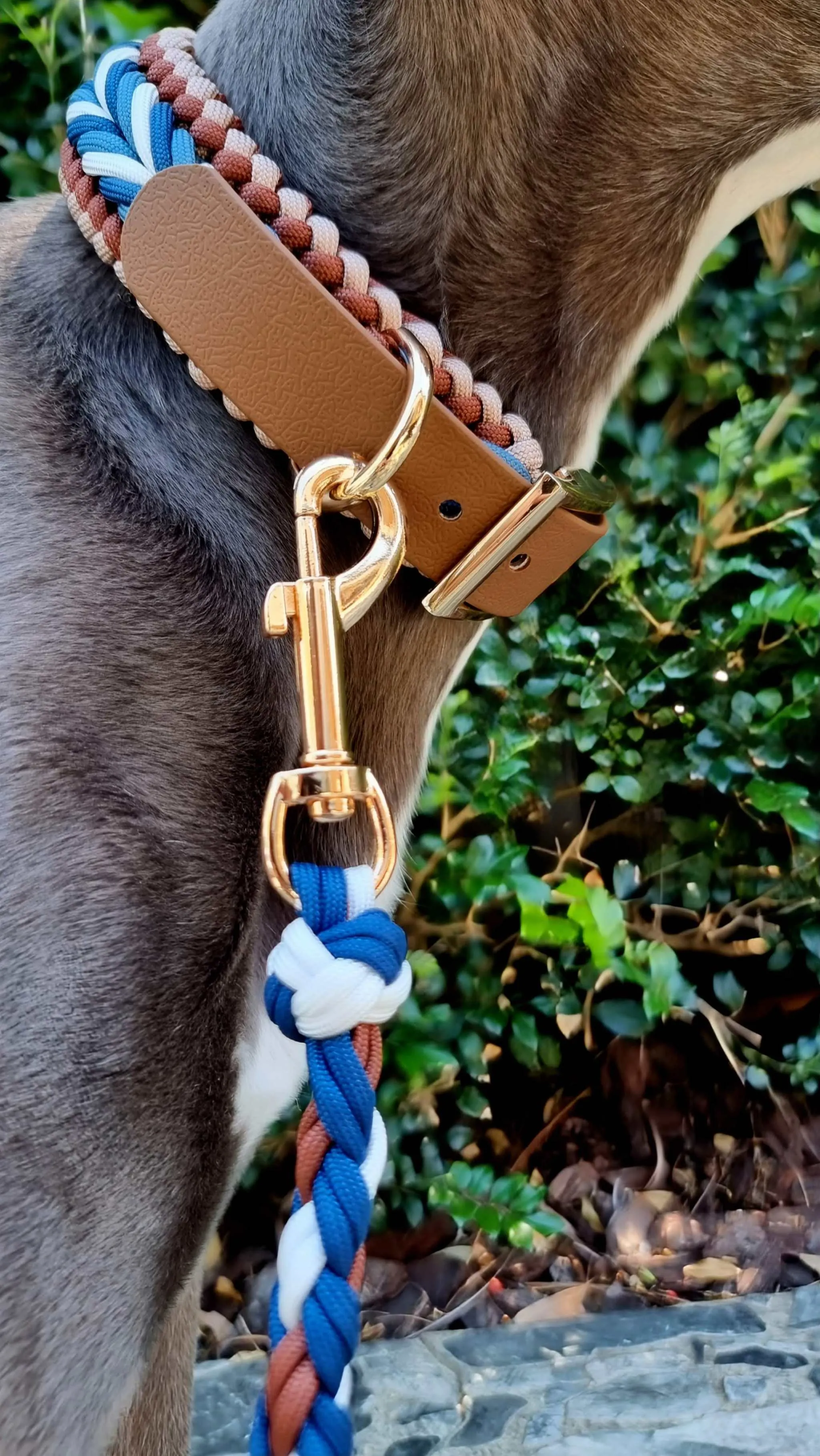 Paracord Dog Collar - Bobby Brown, Navy & White