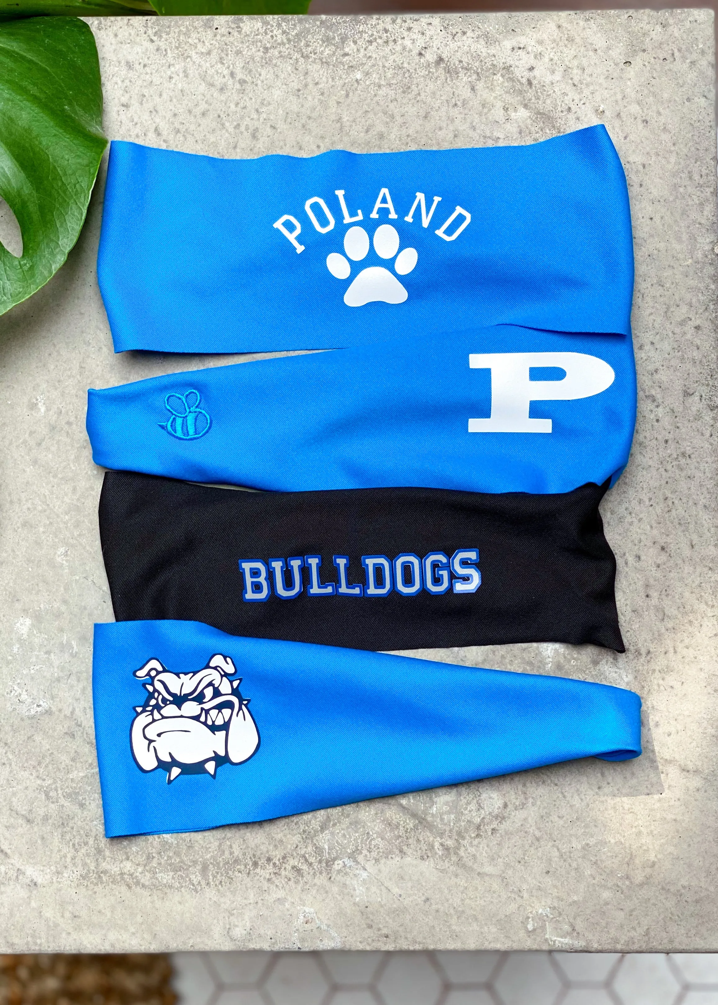 Poland Bulldogs