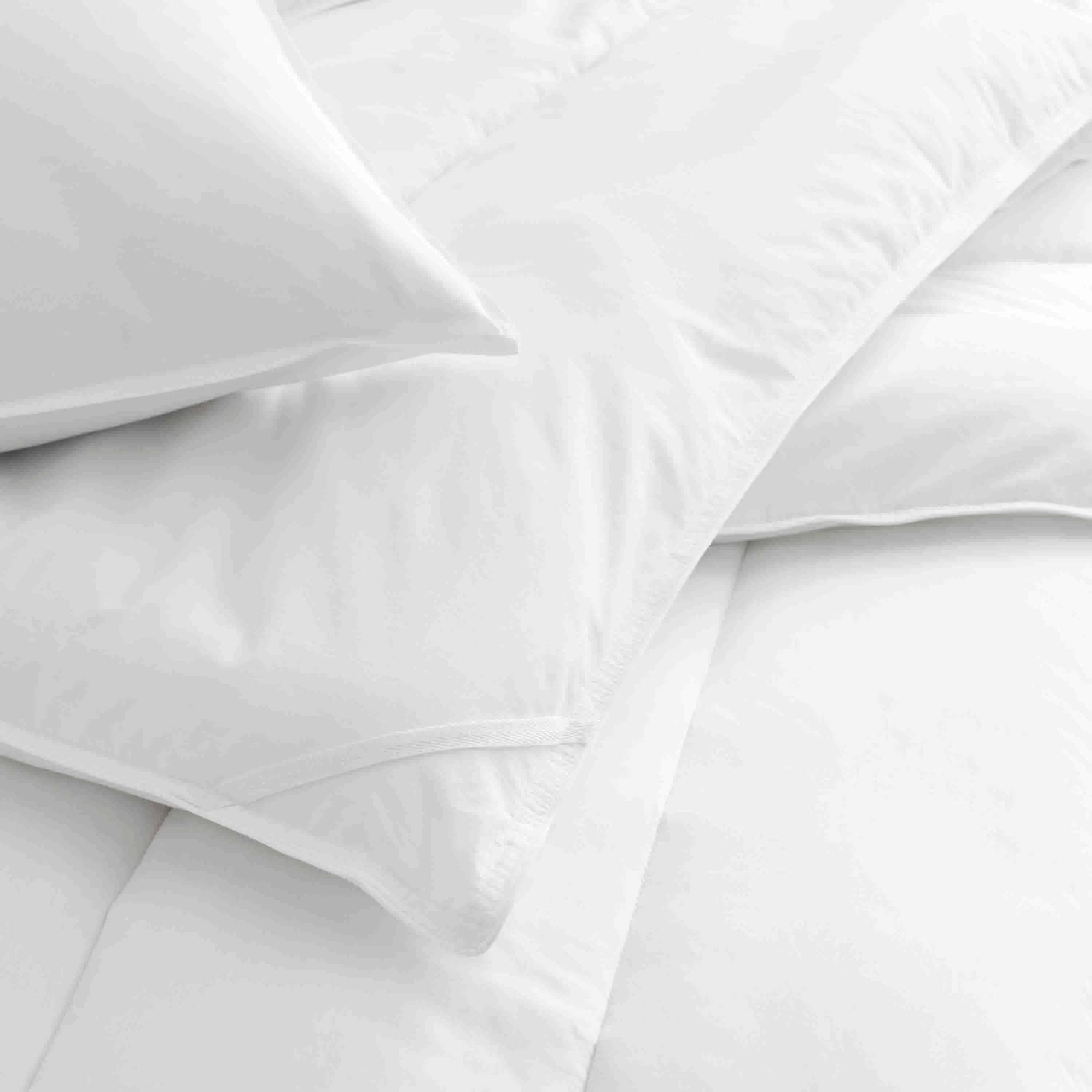 Standard White Pillow and Pillow Protector Set with SILVERbac by Martex Clean Essentials