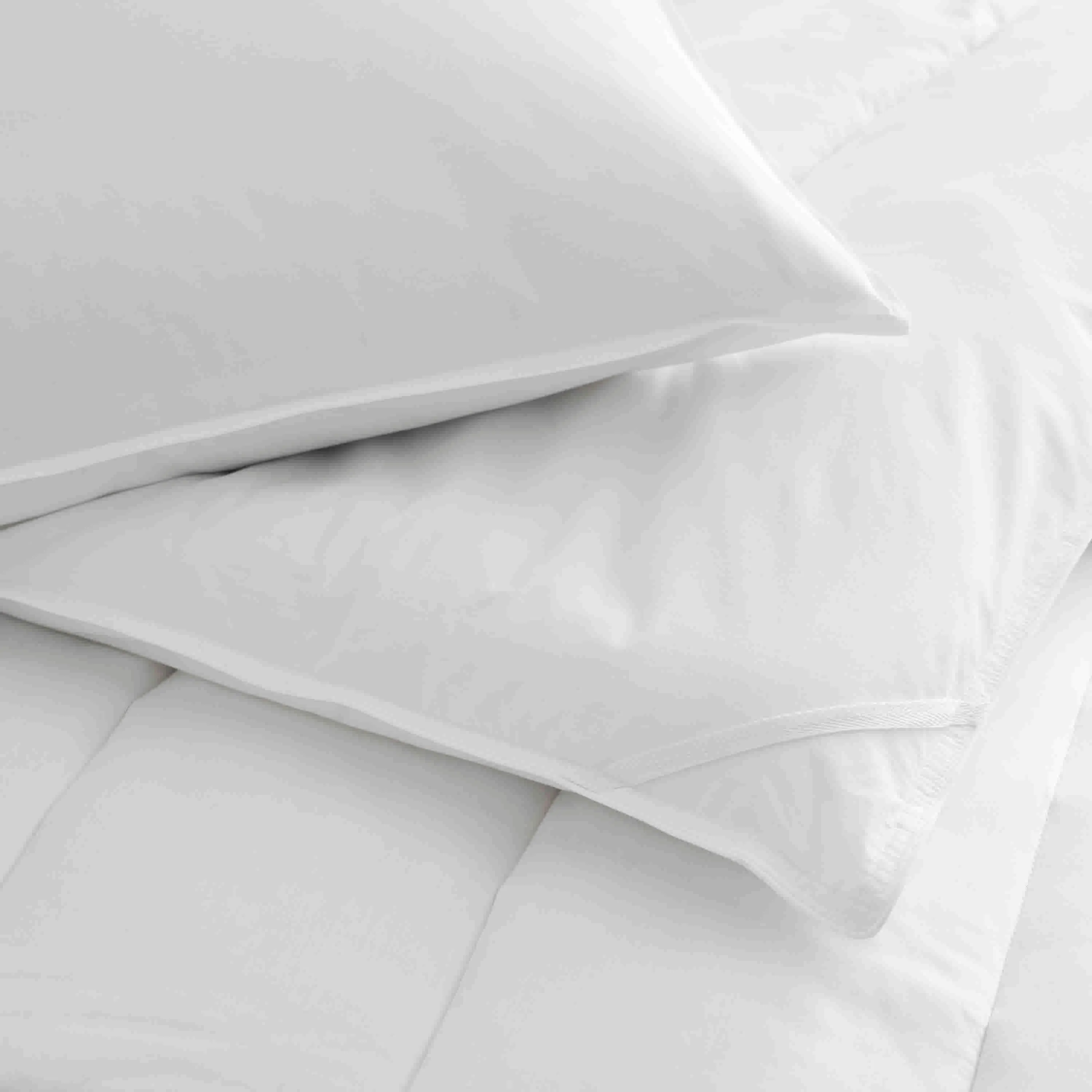 Standard White Pillow and Pillow Protector Set with SILVERbac by Martex Clean Essentials