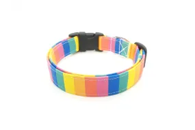 Thin Rainbow Stripes Dog Collar