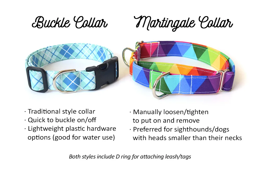 Thin Rainbow Stripes Dog Collar