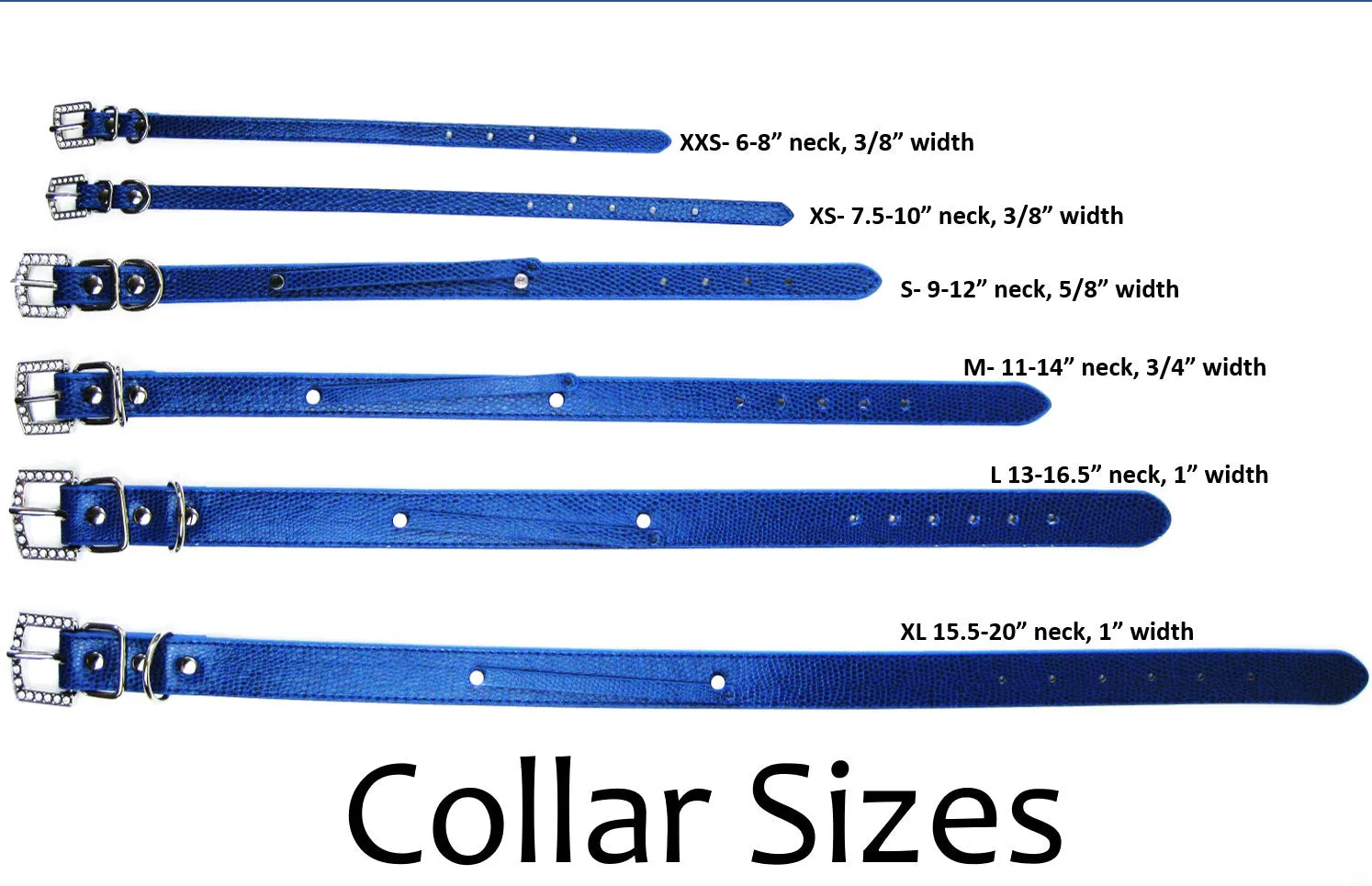 Tidewater Blue Chrome Pet Collar