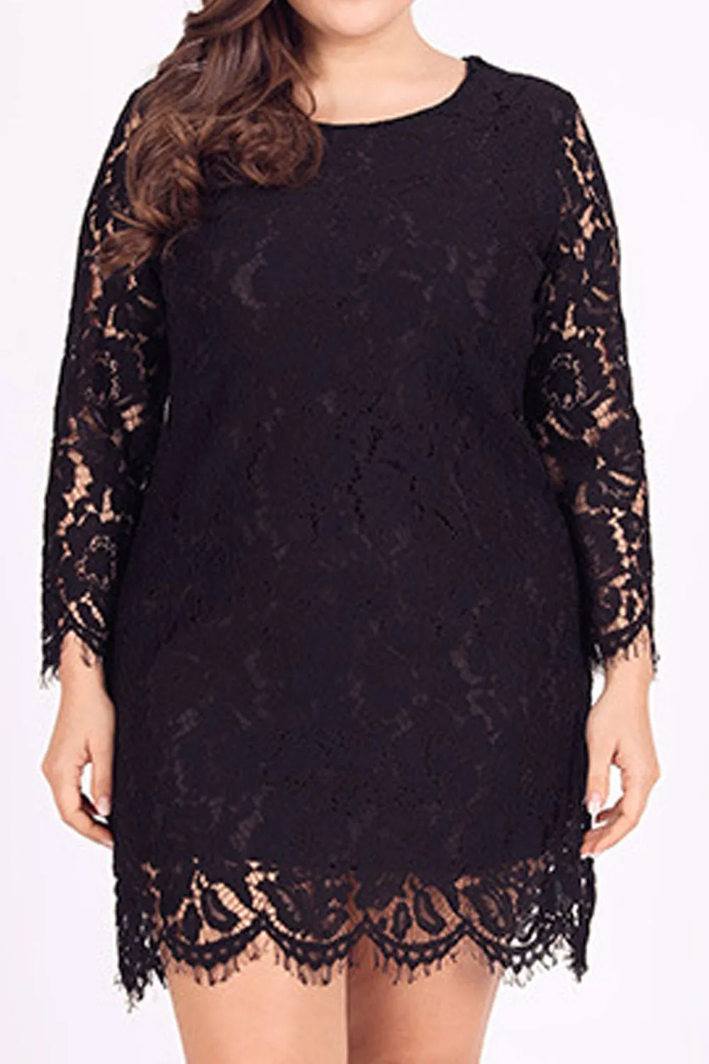 Women Fabulous Floral Lace Decorated Long Sleeve Round Neck Appealing Dress - WD117748